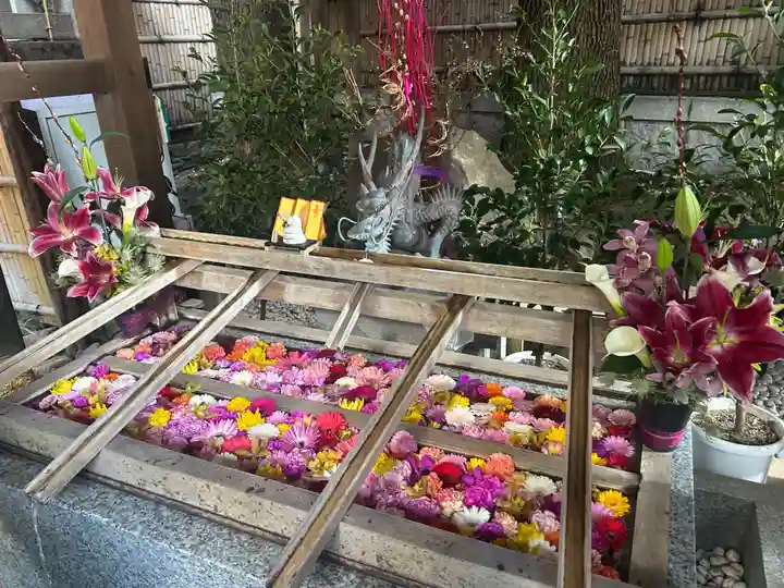 東京大神宮(東京都)