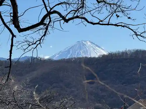 武田神社(山梨県)