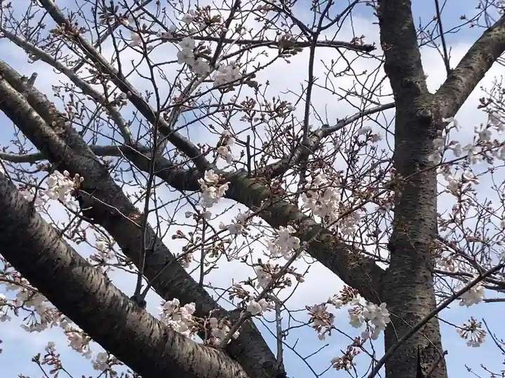 伝福寺(神奈川県)