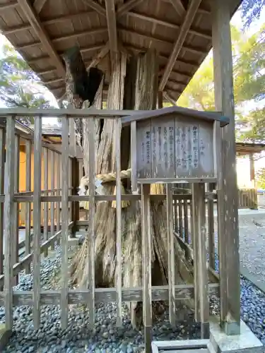 泉神社(茨城県)