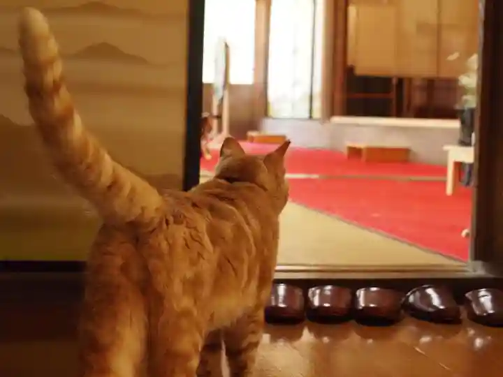 天王山 安楽寺(福井県)