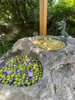 廣田神社~病厄除守護神~の手水舎