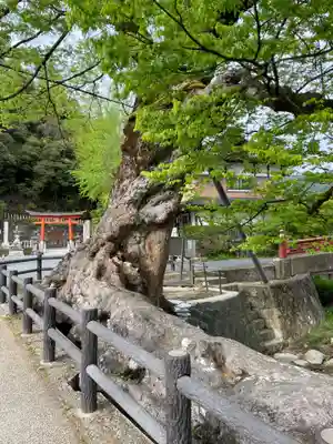 柏原大神宮(兵庫県)