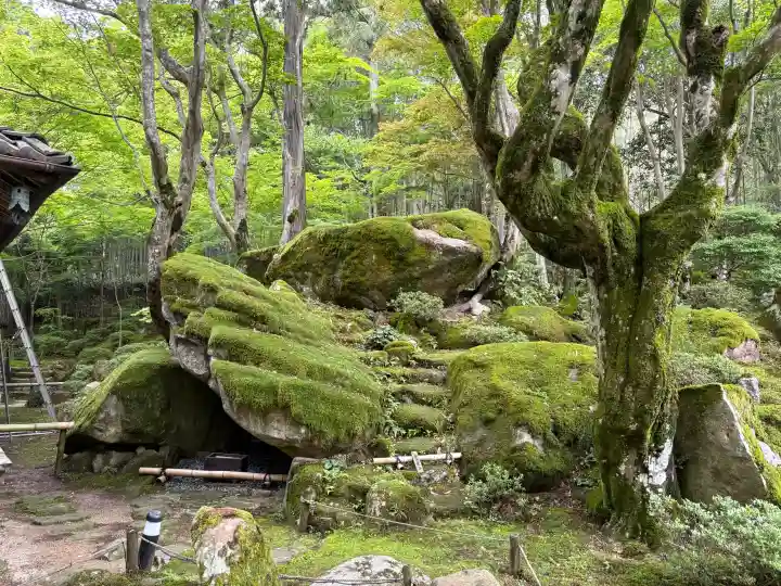 教林坊の{uncategorized: "未分類", other: "その他", undefined: "問題あり", building: "その他建物", grave: "お墓", sacred_gate: "鳥居", guardian: "狛犬", statue: "像", buddha: "仏像", history: "歴史", nature: "自然", garden: "庭園", animal: "動物", pagoda: "塔", temizu: "手水舎", mountain_gate: "山門・神門", sanctuary: "本殿・本堂", subordinate: "末社・摂社", art: "芸術", scenery: "景色", jizo: "地蔵", ema: "絵馬", goshuin: "御朱印", omikuji: "おみくじ", items: "授与品その他", amulet: "お守り", goshuincho: "御朱印帳", eats: "食事", festival: "お祭り", votive_dance: "神楽", shichigosan: "七五三参", wedding: "結婚式", experience: "体験その他", initially: "初詣", around: "周辺", anti_infection: "感染症対策"}