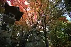 鰐淵寺の建物その他