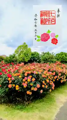 月替り御朱印 5月
『バラ』