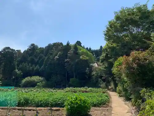 善長院の景色