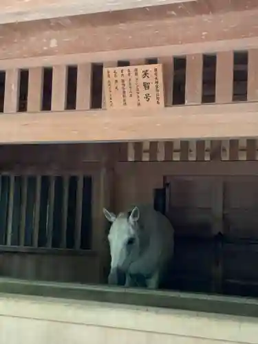 伊勢神宮外宮（豊受大神宮）の動物