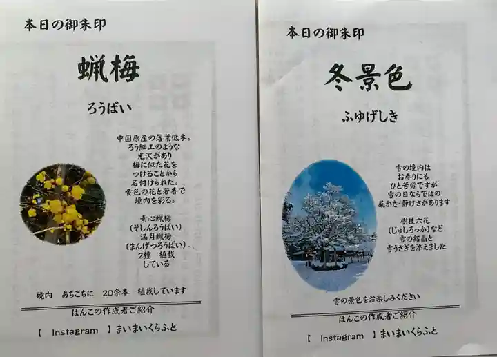 沙沙貴神社の自然