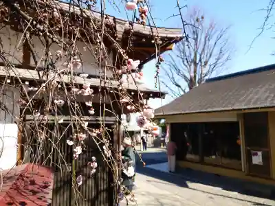 弘明寺の{uncategorized: "未分類", other: "その他", undefined: "問題あり", building: "その他建物", grave: "お墓", sacred_gate: "鳥居", guardian: "狛犬", statue: "像", buddha: "仏像", history: "歴史", nature: "自然", garden: "庭園", animal: "動物", pagoda: "塔", temizu: "手水舎", mountain_gate: "山門・神門", sanctuary: "本殿・本堂", subordinate: "末社・摂社", art: "芸術", scenery: "景色", jizo: "地蔵", ema: "絵馬", goshuin: "御朱印", omikuji: "おみくじ", items: "授与品その他", amulet: "お守り", goshuincho: "御朱印帳", eats: "食事", festival: "お祭り", votive_dance: "神楽", shichigosan: "七五三参", wedding: "結婚式", experience: "体験その他", initially: "初詣", around: "周辺", anti_infection: "感染症対策"}