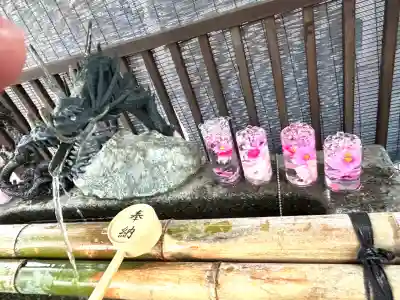 豊平神社の{uncategorized: "未分類", other: "その他", undefined: "問題あり", building: "その他建物", grave: "お墓", sacred_gate: "鳥居", guardian: "狛犬", statue: "像", buddha: "仏像", history: "歴史", nature: "自然", garden: "庭園", animal: "動物", pagoda: "塔", temizu: "手水舎", mountain_gate: "山門・神門", sanctuary: "本殿・本堂", subordinate: "末社・摂社", art: "芸術", scenery: "景色", jizo: "地蔵", ema: "絵馬", goshuin: "御朱印", omikuji: "おみくじ", items: "授与品その他", amulet: "お守り", goshuincho: "御朱印帳", eats: "食事", festival: "お祭り", votive_dance: "神楽", shichigosan: "七五三参", wedding: "結婚式", experience: "体験その他", initially: "初詣", around: "周辺", anti_infection: "感染症対策"}