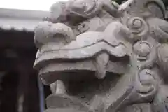 熊野大神社の狛犬