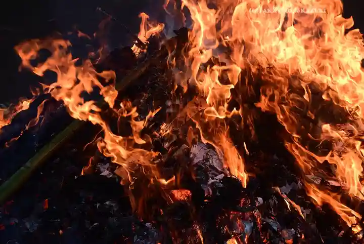 天沼八幡神社(東京都)