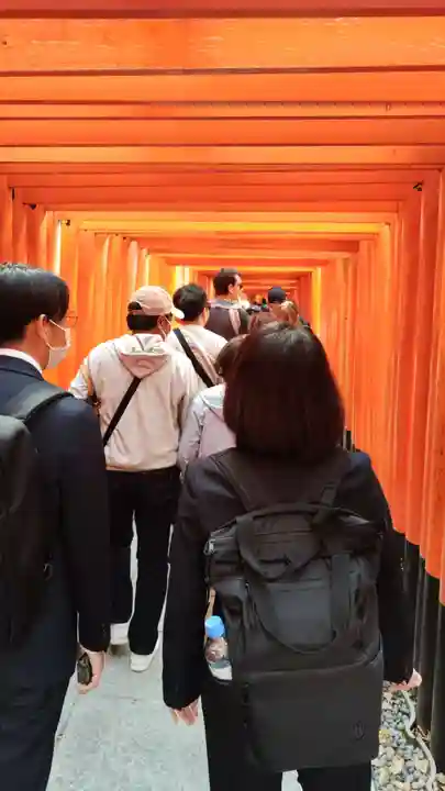 伏見稲荷大社(京都府)