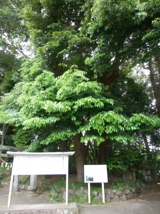 火男火賣神社(下宮)(大分県)