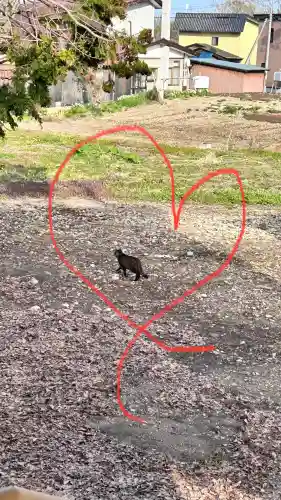 古泉神社(北海道)