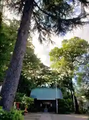 田端神社(東京都)