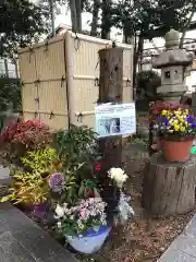 東海市熊野神社の庭園