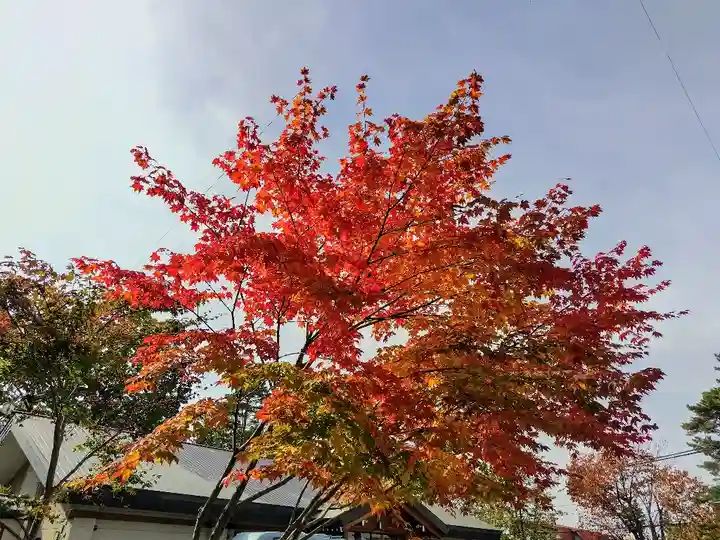 東川神社の自然