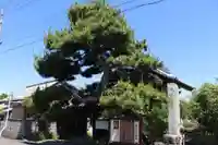 大善寺(滋賀県)