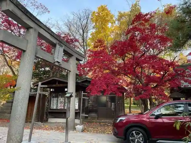 彌彦神社 (伊夜日子神社)の鳥居