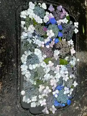 粟井神社(香川県)