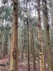 河上神社の周辺