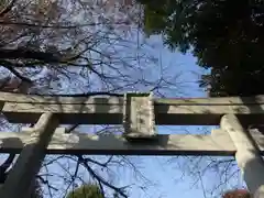 本郷氷川神社(東京都)