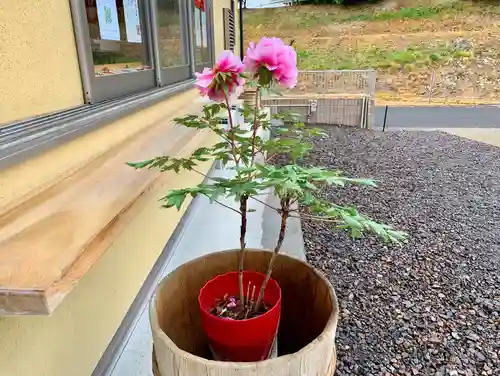 滑川神社 - 仕事と子どもの守り神のその他建物