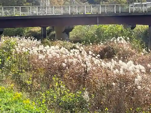 鏑射寺(兵庫県)