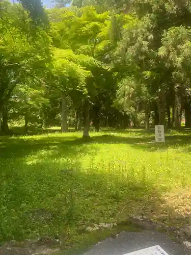 宇佐宮弥勒寺跡の自然