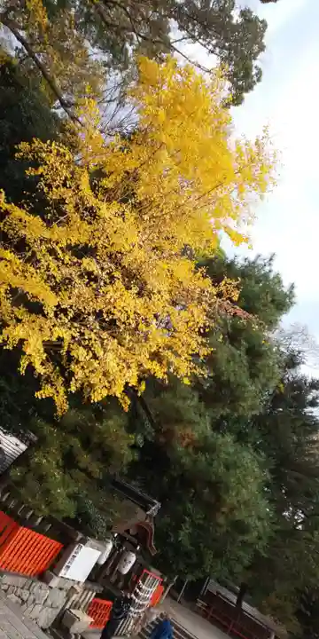 賀茂御祖神社(下鴨神社)のその他建物
