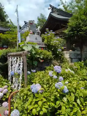 石母田 三吉神社(福島県)