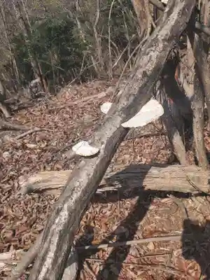 御嶽山神社(奥宮)(栃木県)