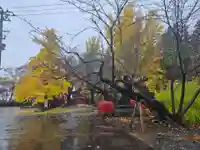 弘前天満宮(青森県)