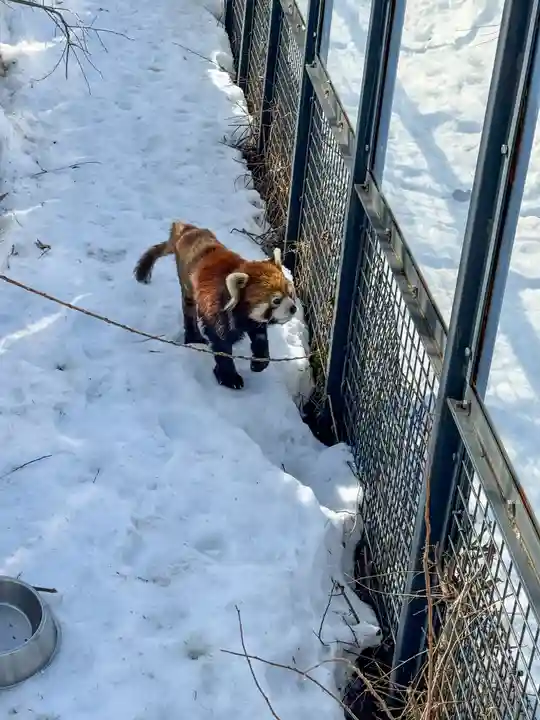 北海道神宮(北海道)