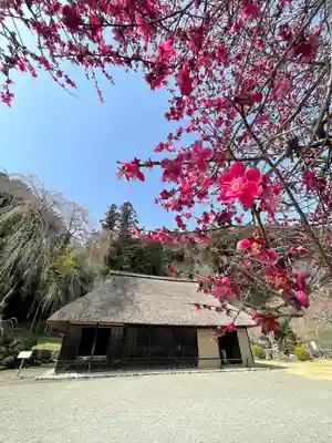 高麗神社(埼玉県)