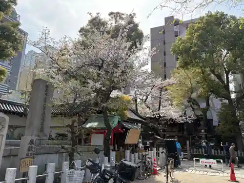 大阪天満宮(大阪府)