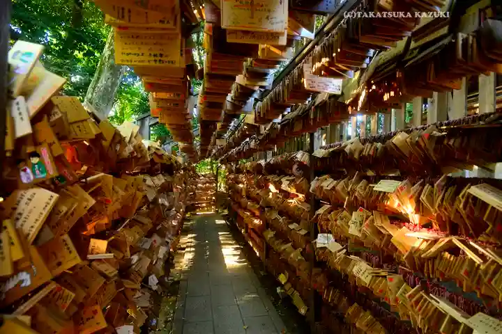川越氷川神社(埼玉県)