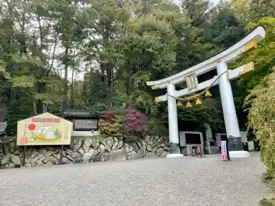 宝登山神社(埼玉県)