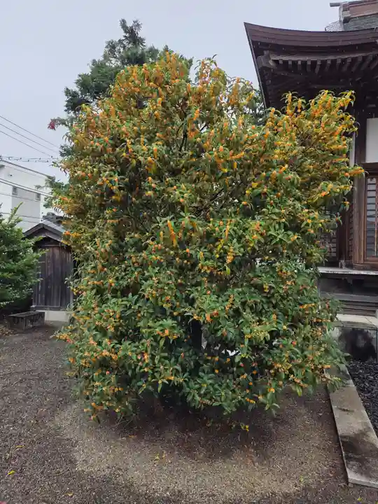 諏訪神社(神奈川県)