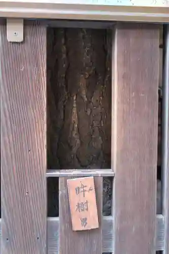 平等寺（因幡堂）(京都府)