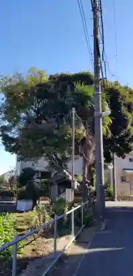 庚申神社(千葉県)