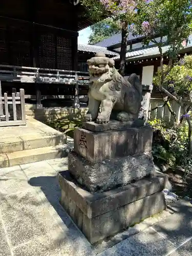 白山神社の狛犬