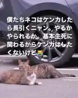 専念寺(大阪府)