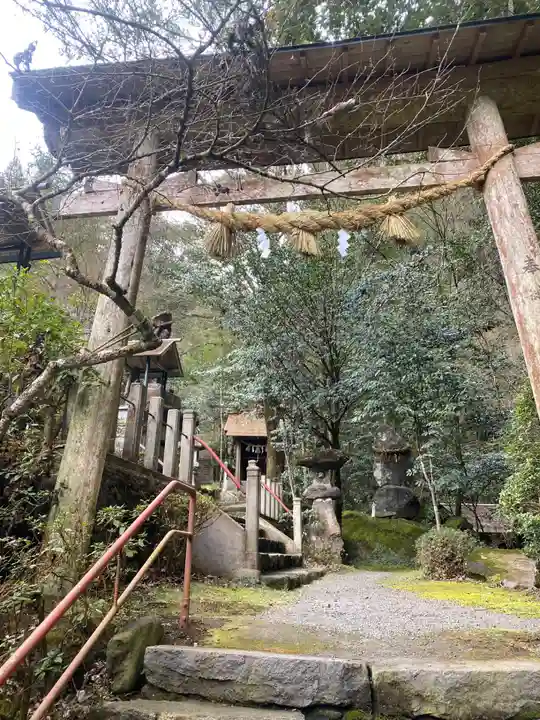 代々木神社の鳥居