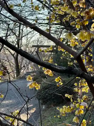 群馬県護国神社(群馬県)
