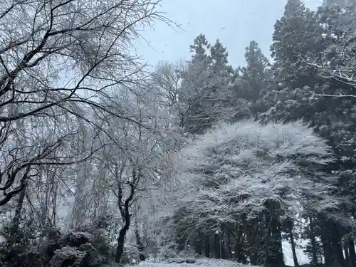 大宮温泉神社(栃木県)