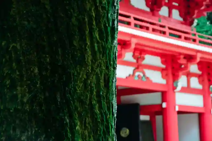 井草八幡宮(東京都)