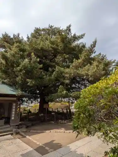 安養院　(田代寺）(神奈川県)